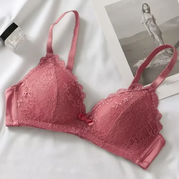 Girl Cheap Bra Sexy Lace Bra Women Push Up Bra Lingerie Plus Size Bras For Women Soutien Gorge New Adjustable Women Brassieres – Image 5
