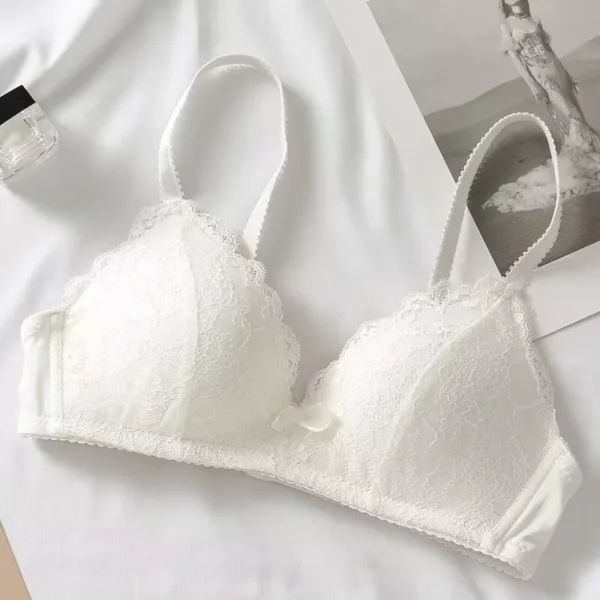 Girl Cheap Bra Sexy Lace Bra Women Push Up Bra Lingerie Plus Size Bras For Women Soutien Gorge New Adjustable Women Brassieres – Image 6